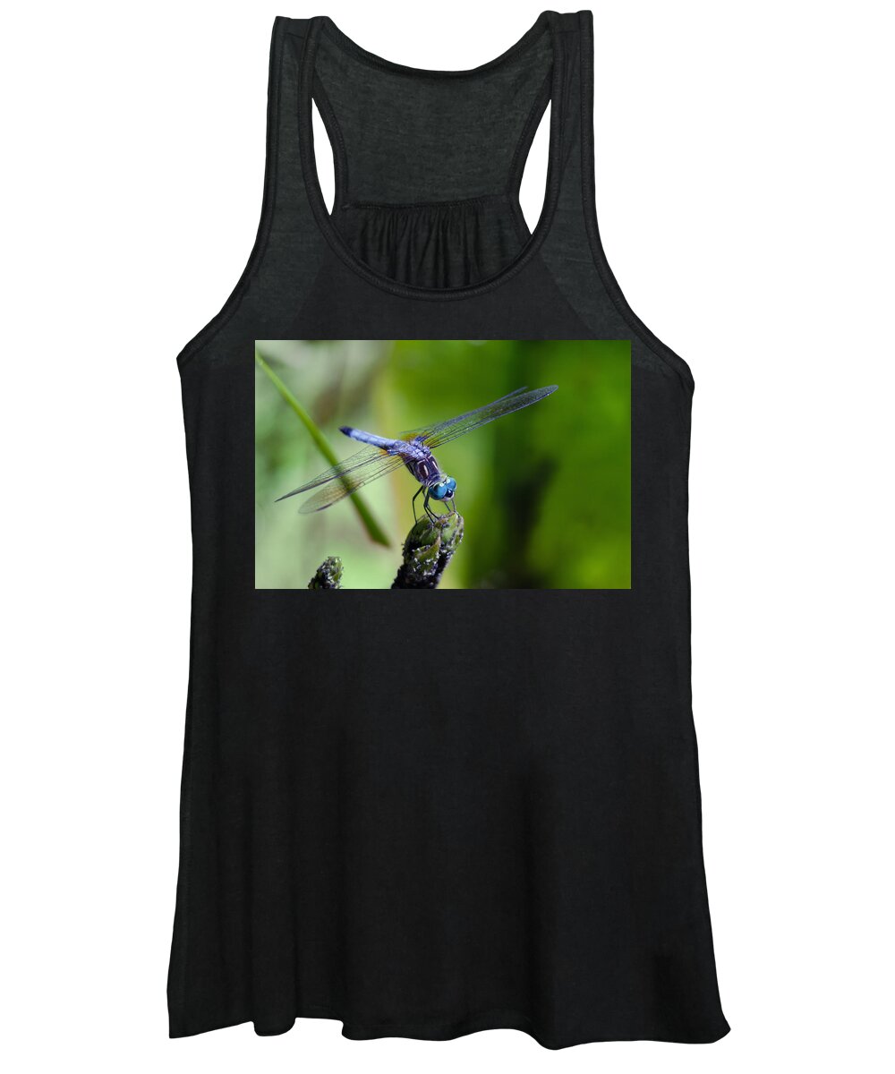 Animals Women's Tank Top featuring the photograph Blue Dragonfly by Jim Shackett
