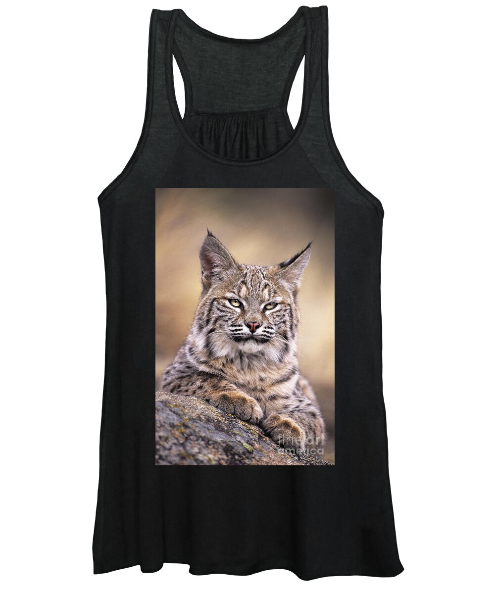 Bobcat Women's Tank Top featuring the photograph Bobcat Cub Portrait Montana Wildlife by Dave Welling