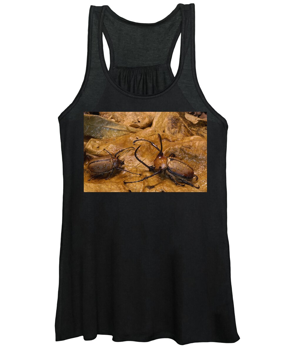 Feb0514 Women's Tank Top featuring the photograph Caliper Beetles Camouflaged Ecuador by Pete Oxford