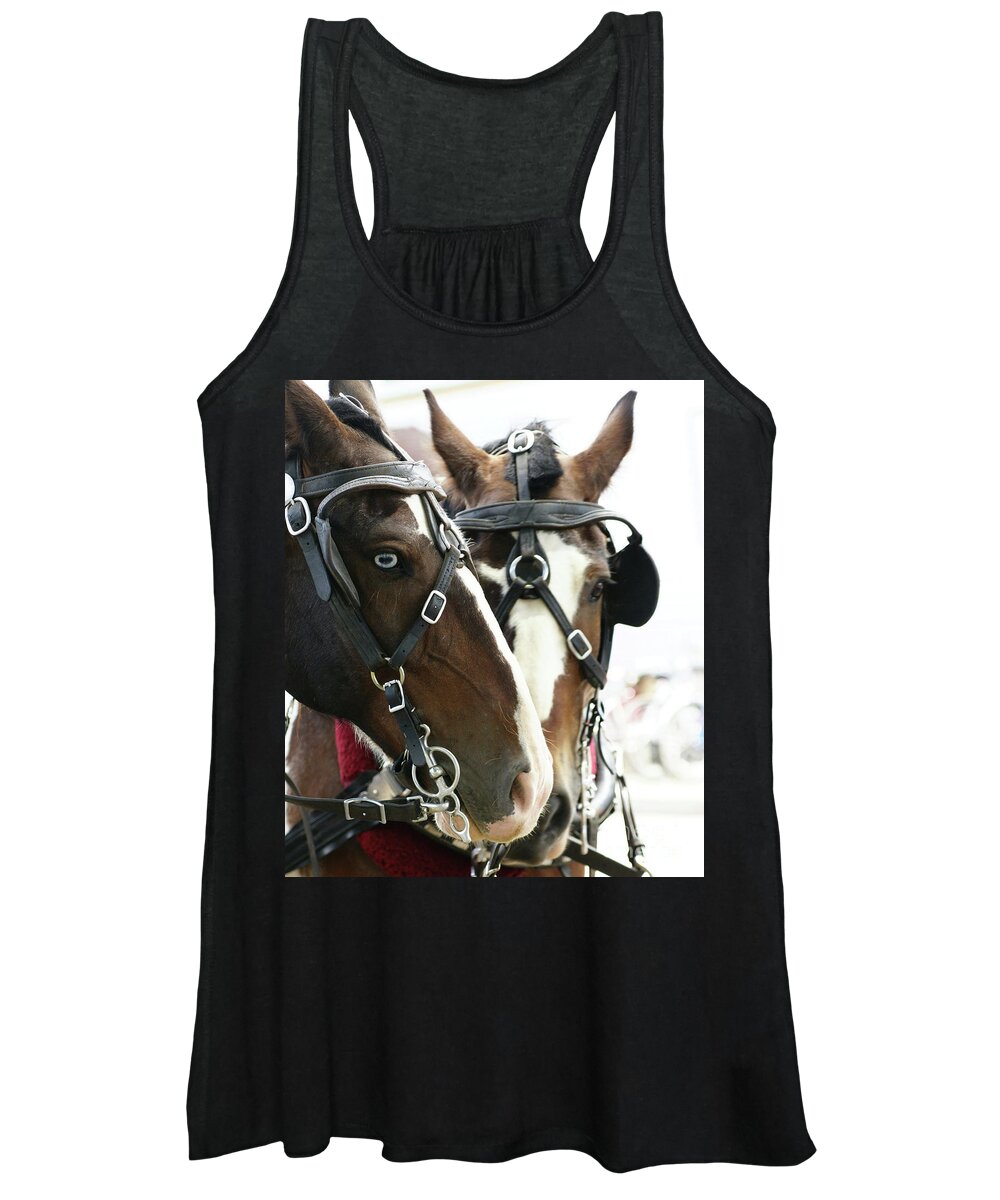 Carriage Women's Tank Top featuring the photograph Carriage Horse - 4 by Linda Shafer