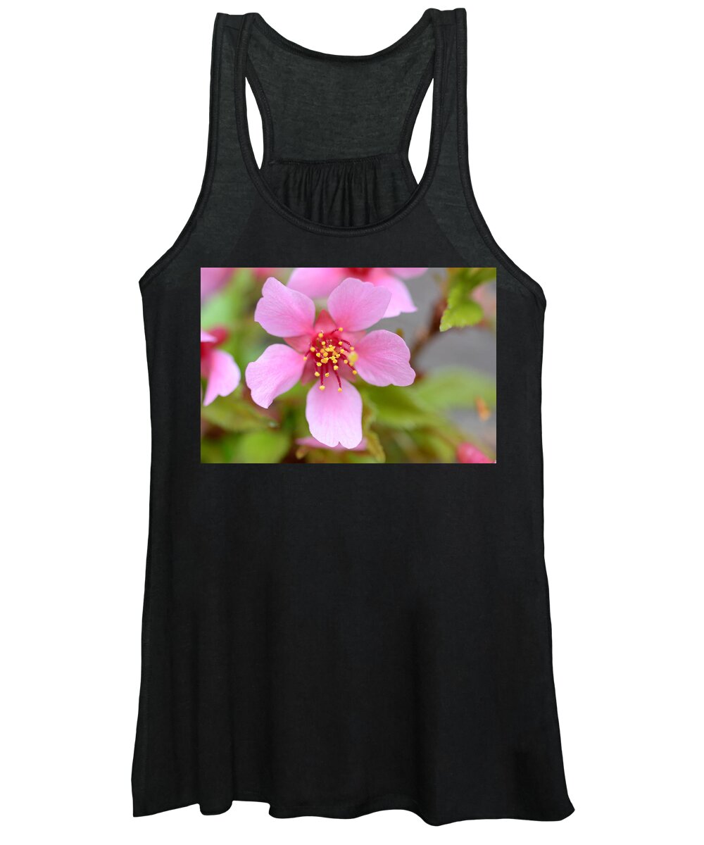 Cherry Blossom Women's Tank Top featuring the photograph Cherry Blossom by Lisa Phillips