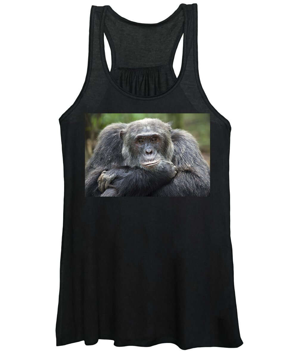 Feb0514 Women's Tank Top featuring the photograph Chimpanzee Male Western Uganda by Suzi Eszterhas