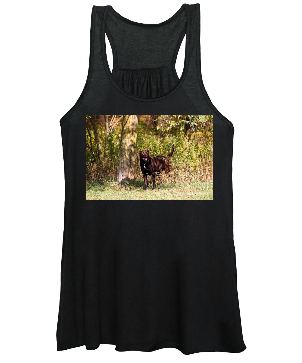 Dog Women's Tank Top featuring the photograph Chocolate Lab Cuteness by Janice Byer