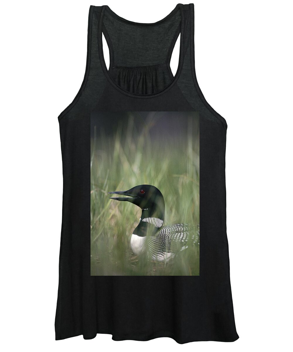 Feb0514 Women's Tank Top featuring the photograph Common Loon Incubating Eggs On Nest by Michael Quinton