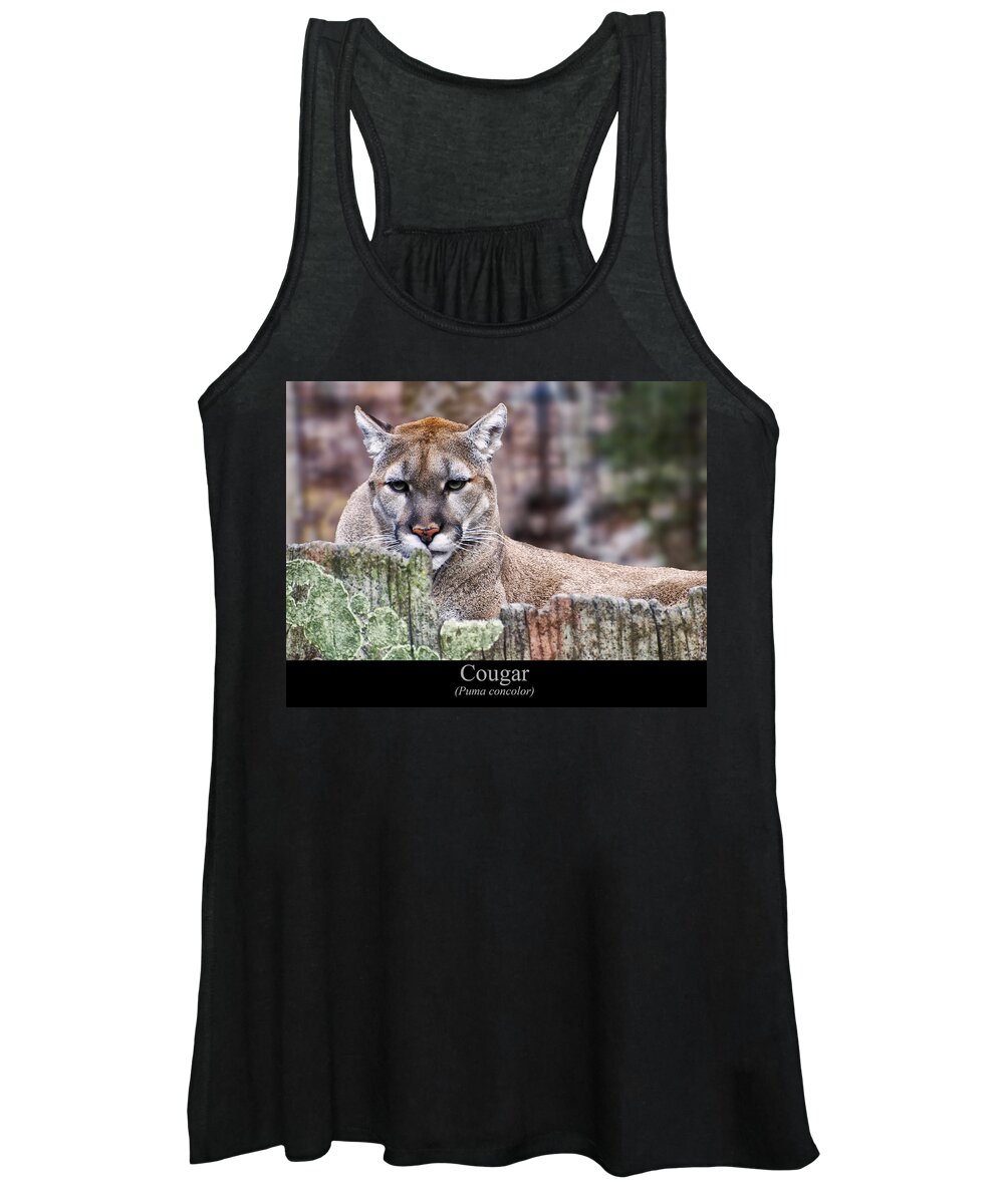 Class Room Posters Women's Tank Top featuring the digital art Cougar resting on a tree stump by Flees Photos