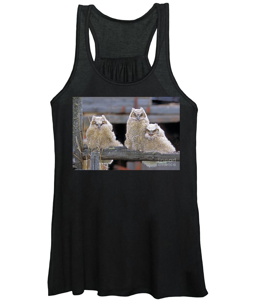 Great Horned Owls Women's Tank Top featuring the photograph Curly Moe and Miss Congeniality by Gary Beeler