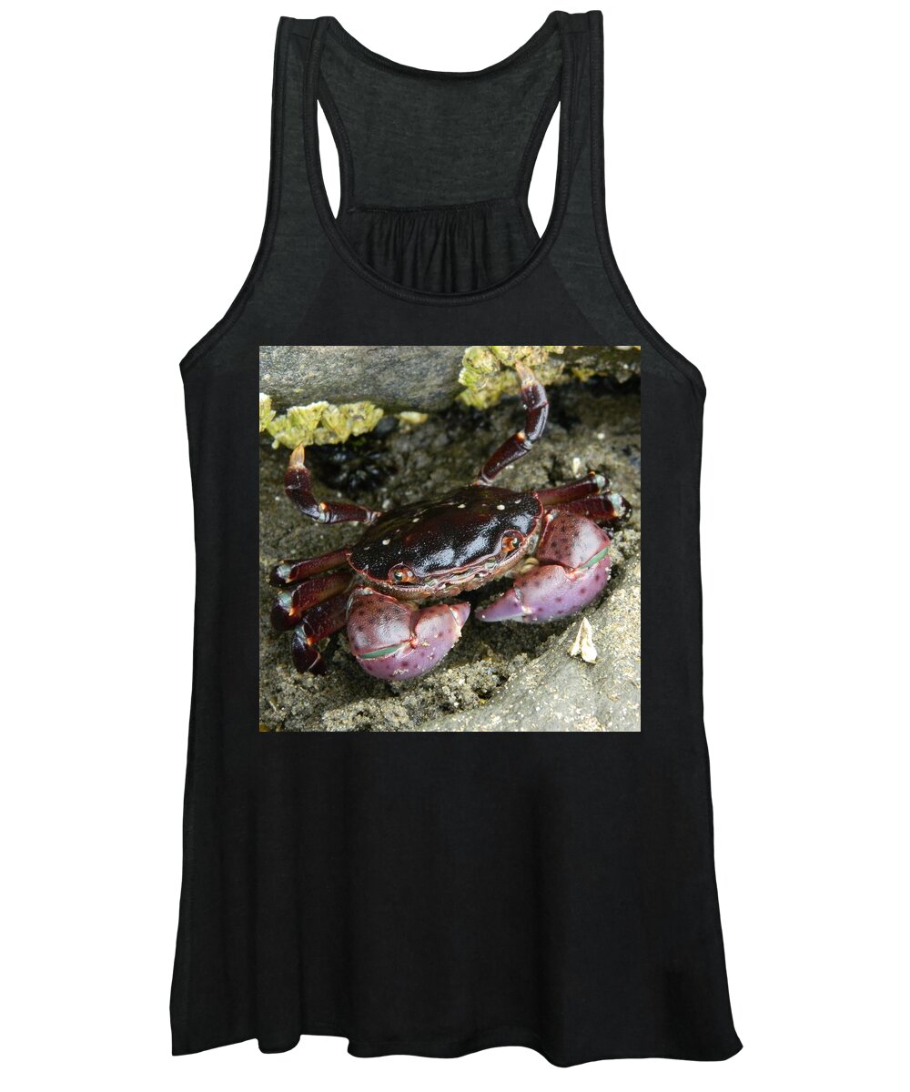 Nature Women's Tank Top featuring the photograph Cute Crab by Gallery Of Hope 
