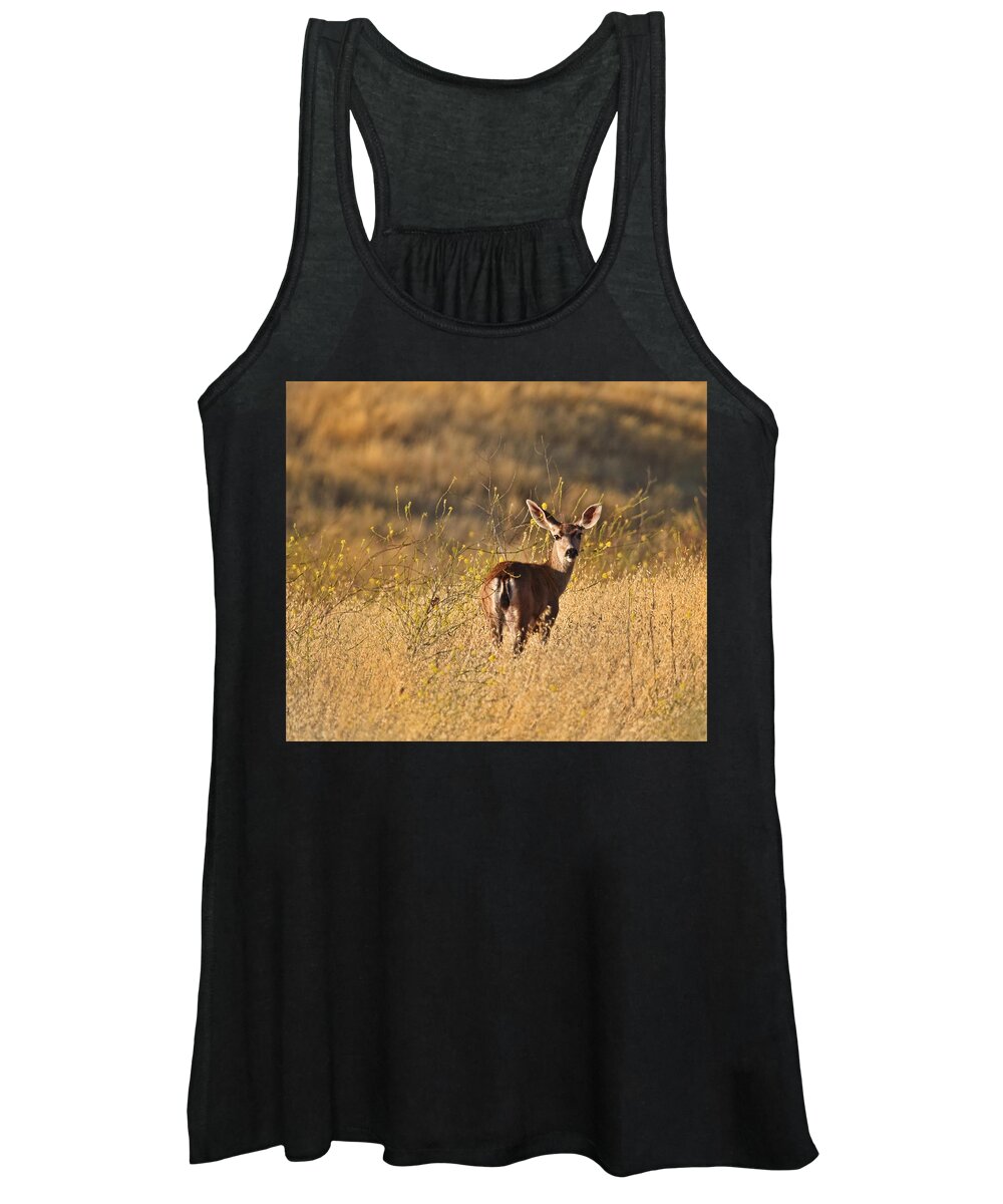 Deer Women's Tank Top featuring the photograph Deer by Beth Sargent
