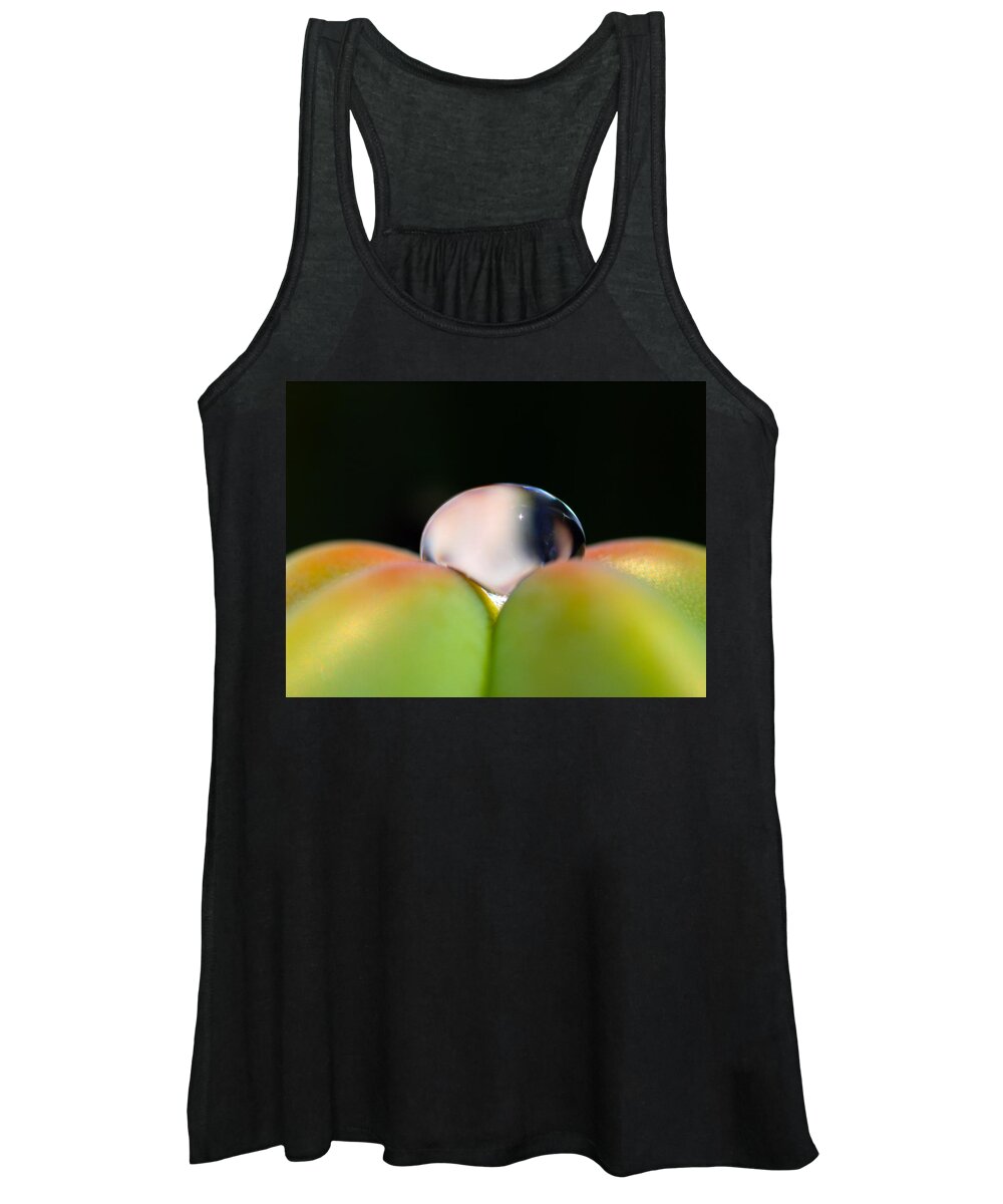 Dew Women's Tank Top featuring the photograph Dew on Cactus by Joe Schofield