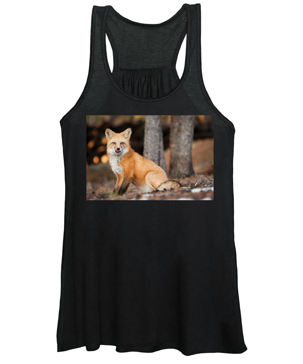 Colorado Women's Tank Top featuring the photograph Dinner Was Good by John Wadleigh