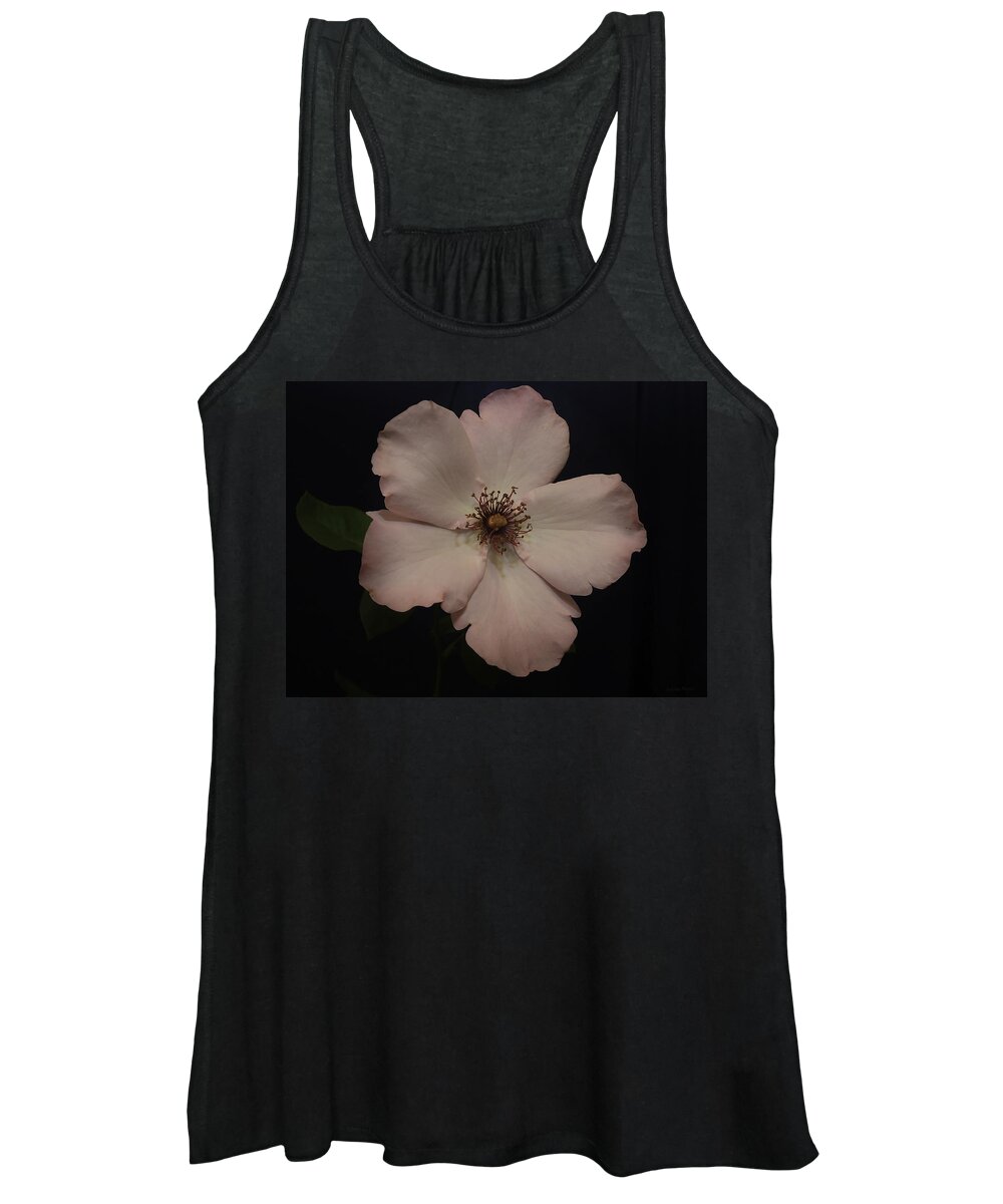 Roses Women's Tank Top featuring the photograph Divine Pink by Lucinda Walter