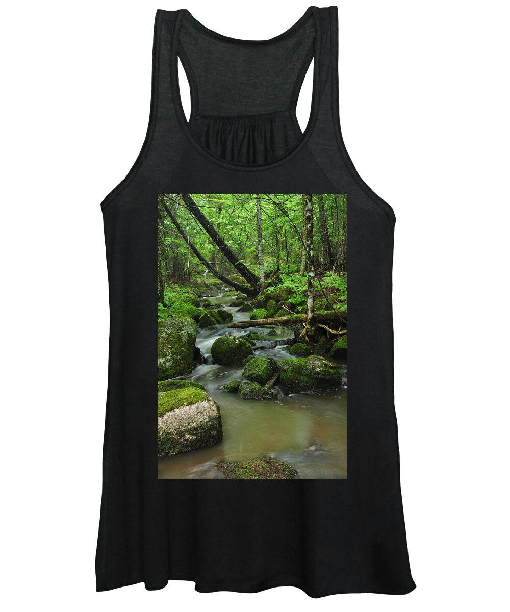 Forest Women's Tank Top featuring the photograph Emerald Forest by Glenn Gordon