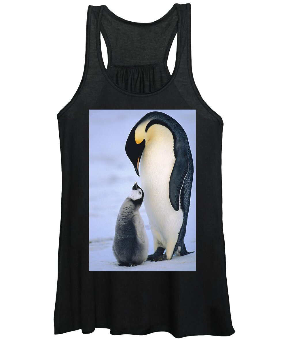 Feb0514 Women's Tank Top featuring the photograph Emperor Penguin Adult With Chick by Konrad Wothe