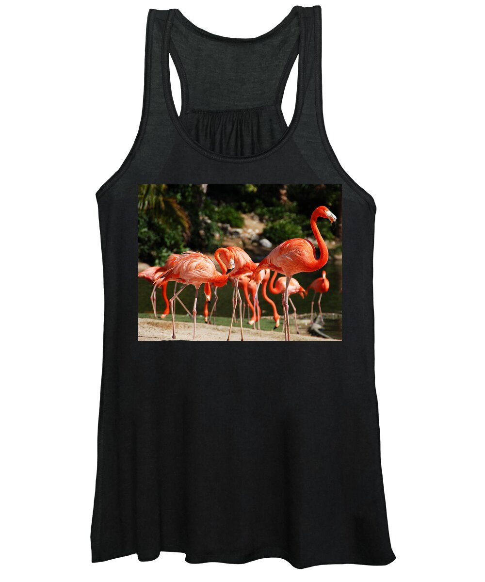 Flamingo Women's Tank Top featuring the photograph Flamingos by Aimee L Maher ALM GALLERY