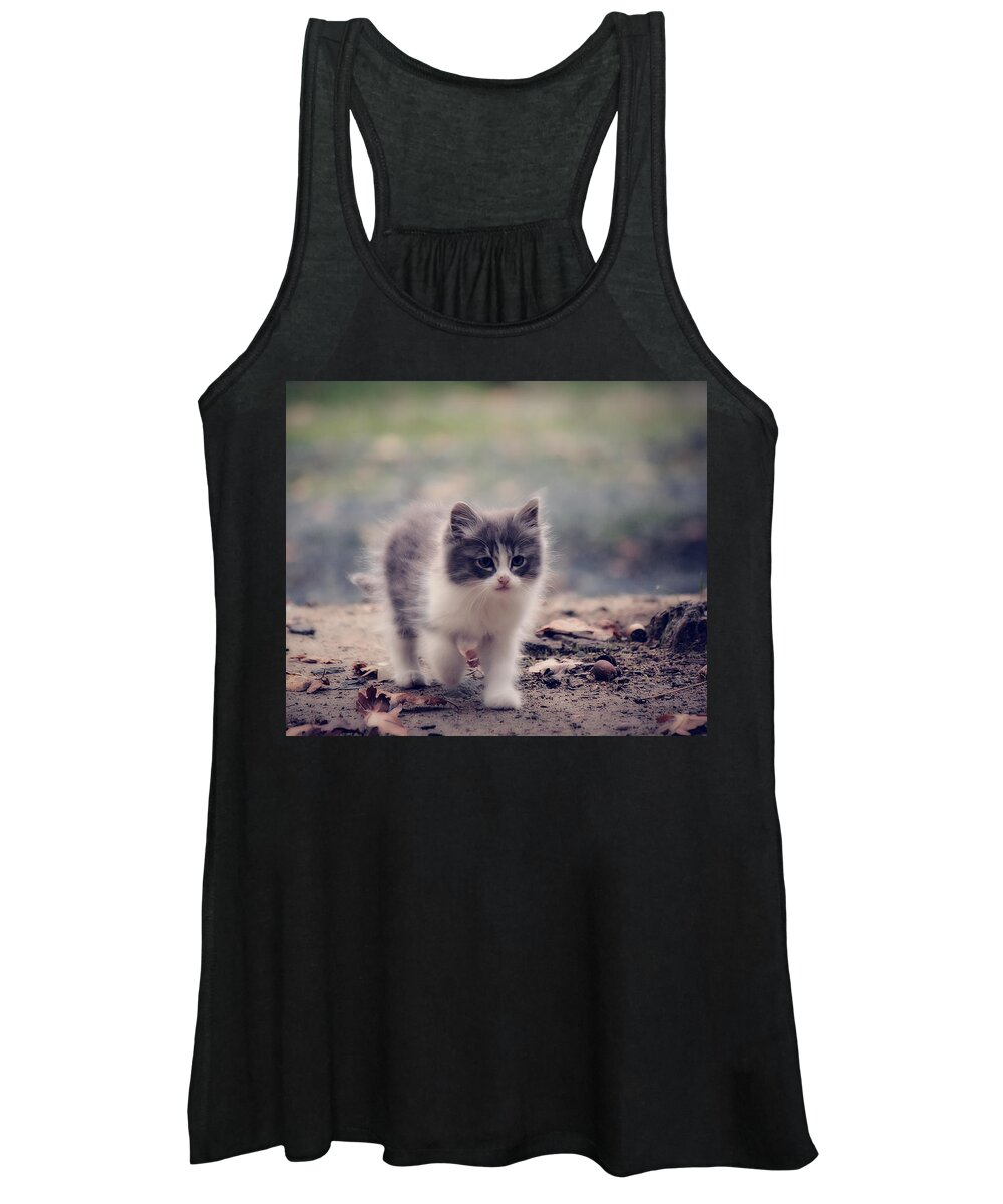 Kitten Women's Tank Top featuring the photograph Fluffy Cuteness by Melanie Lankford Photography