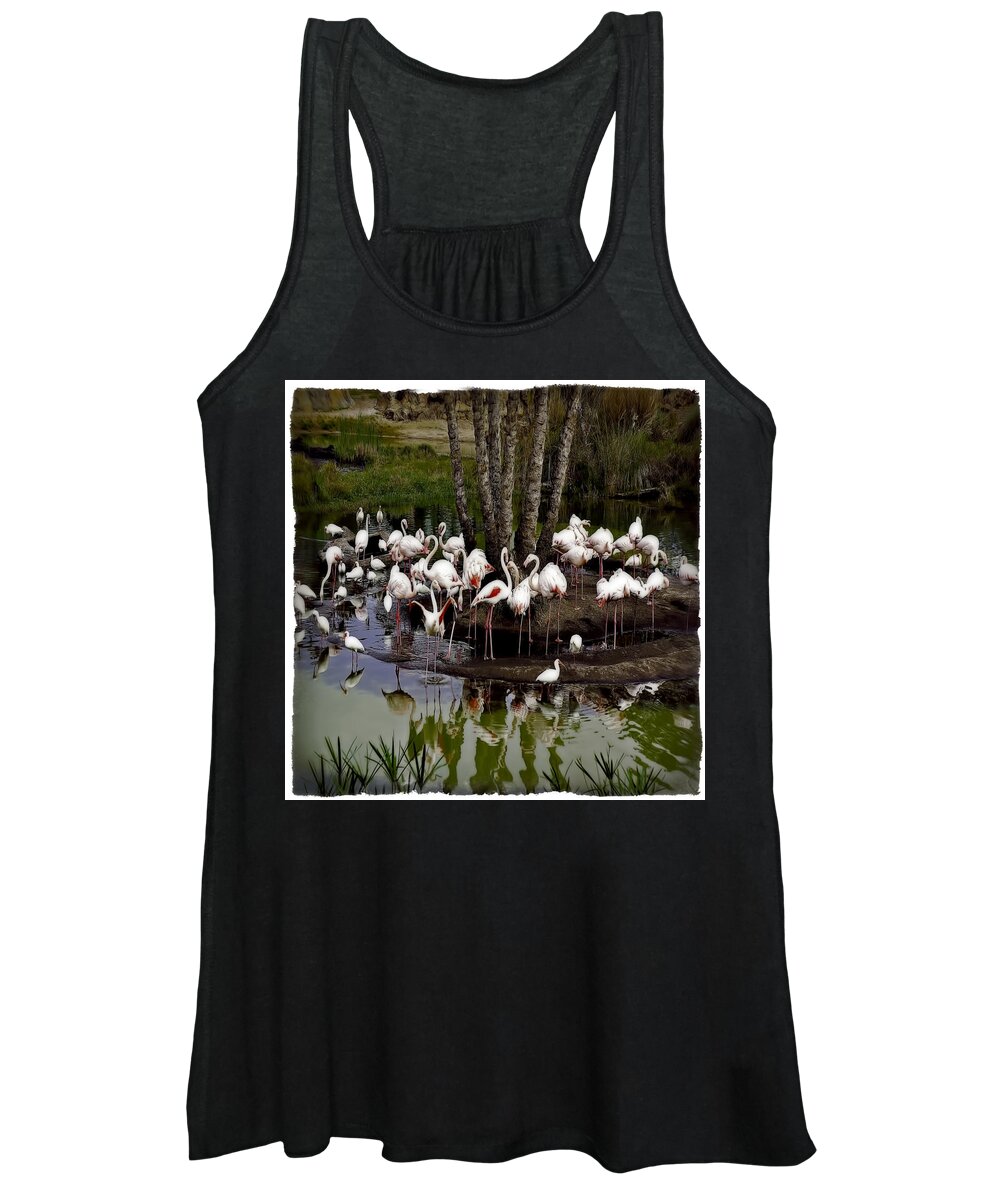  Women's Tank Top featuring the photograph Gathering by Jerry Golab