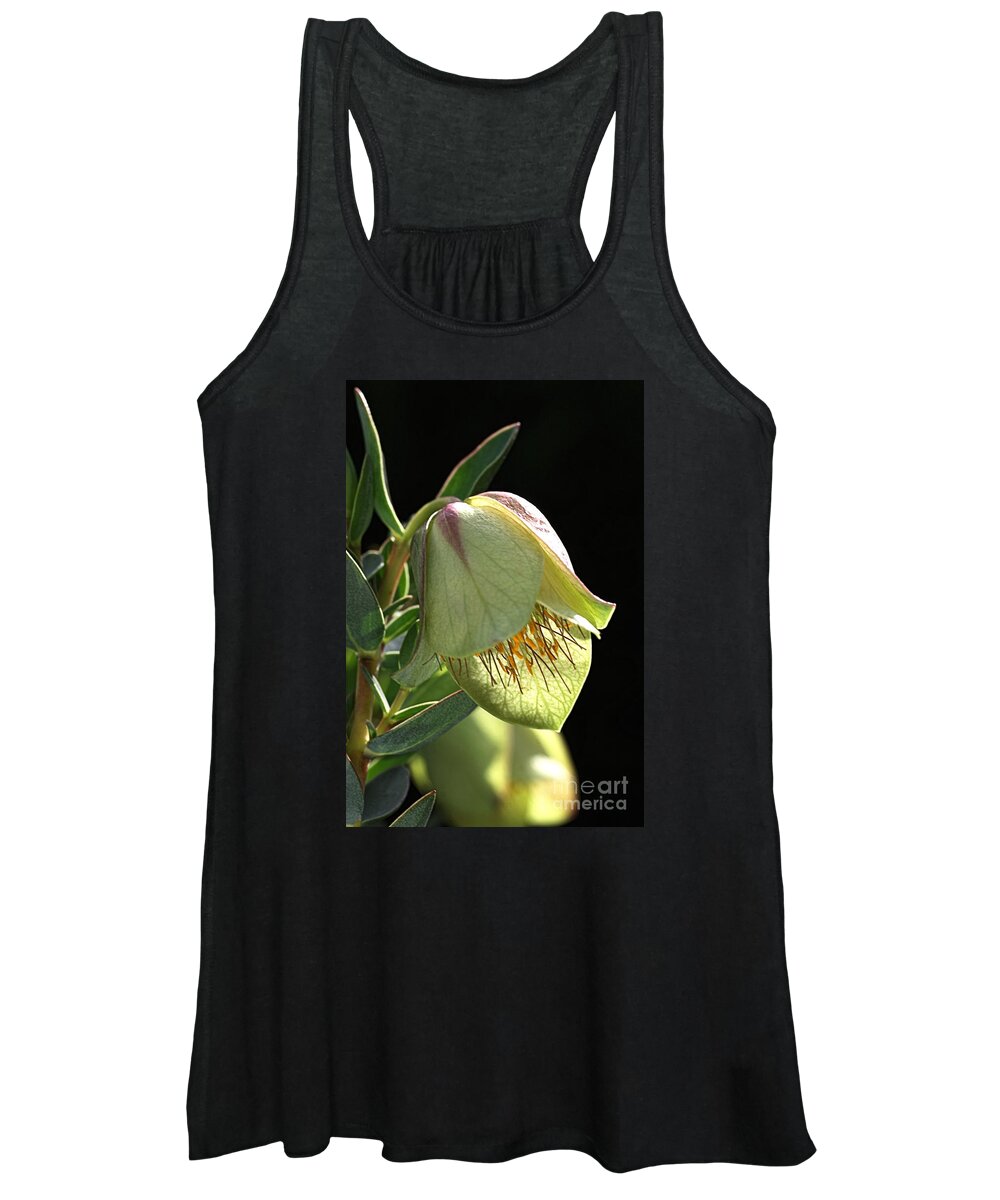 Qualup Flower Women's Tank Top featuring the photograph Glow of the Bell by Joy Watson