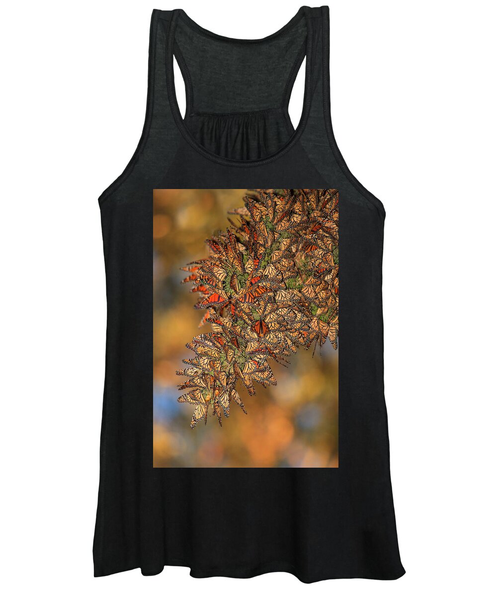 Bug Women's Tank Top featuring the photograph Golden Cluster by Beth Sargent