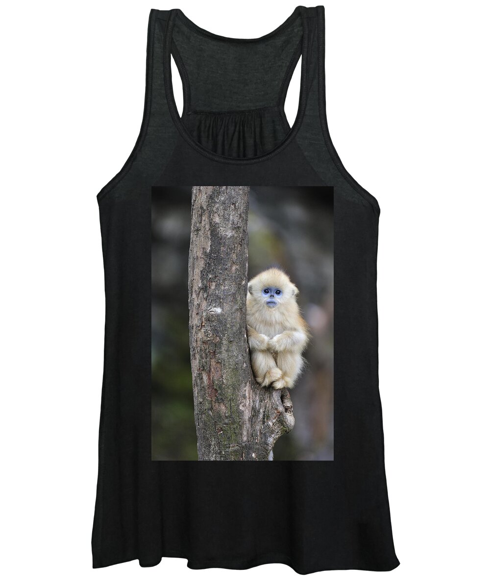 Feb0514 Women's Tank Top featuring the photograph Golden Snub-nosed Monkey Young China by Thomas Marent