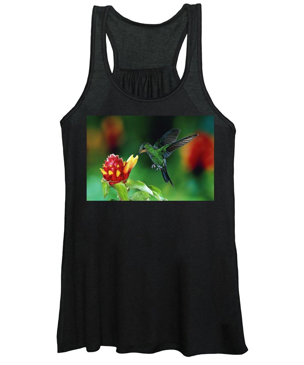 00511213 Women's Tank Top featuring the photograph Green-crowned Brilliant Heliodoxa by Michael and Patricia Fogden
