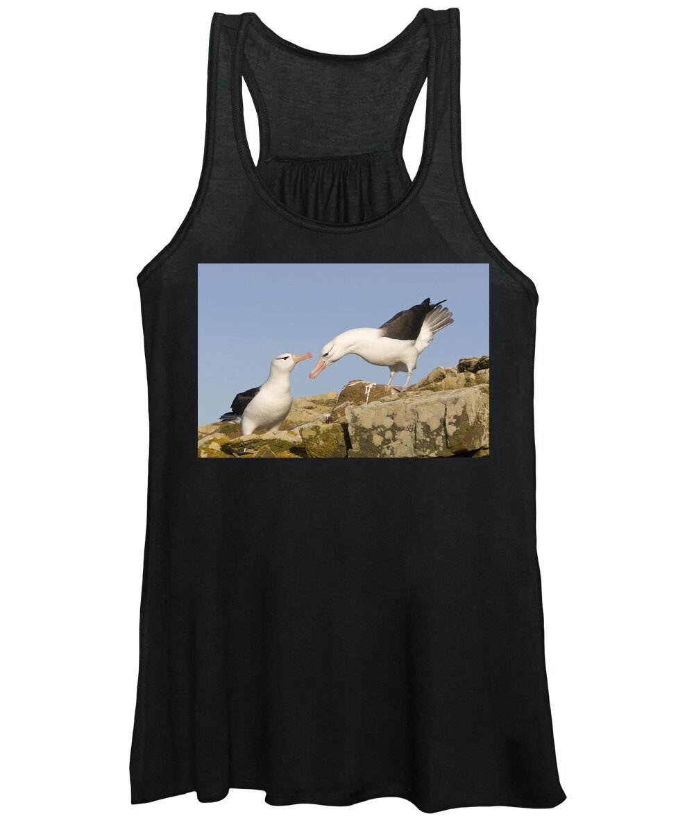 Flpa Women's Tank Top featuring the photograph Greeting Black-browed Albatross Pair by Dickie Duckett