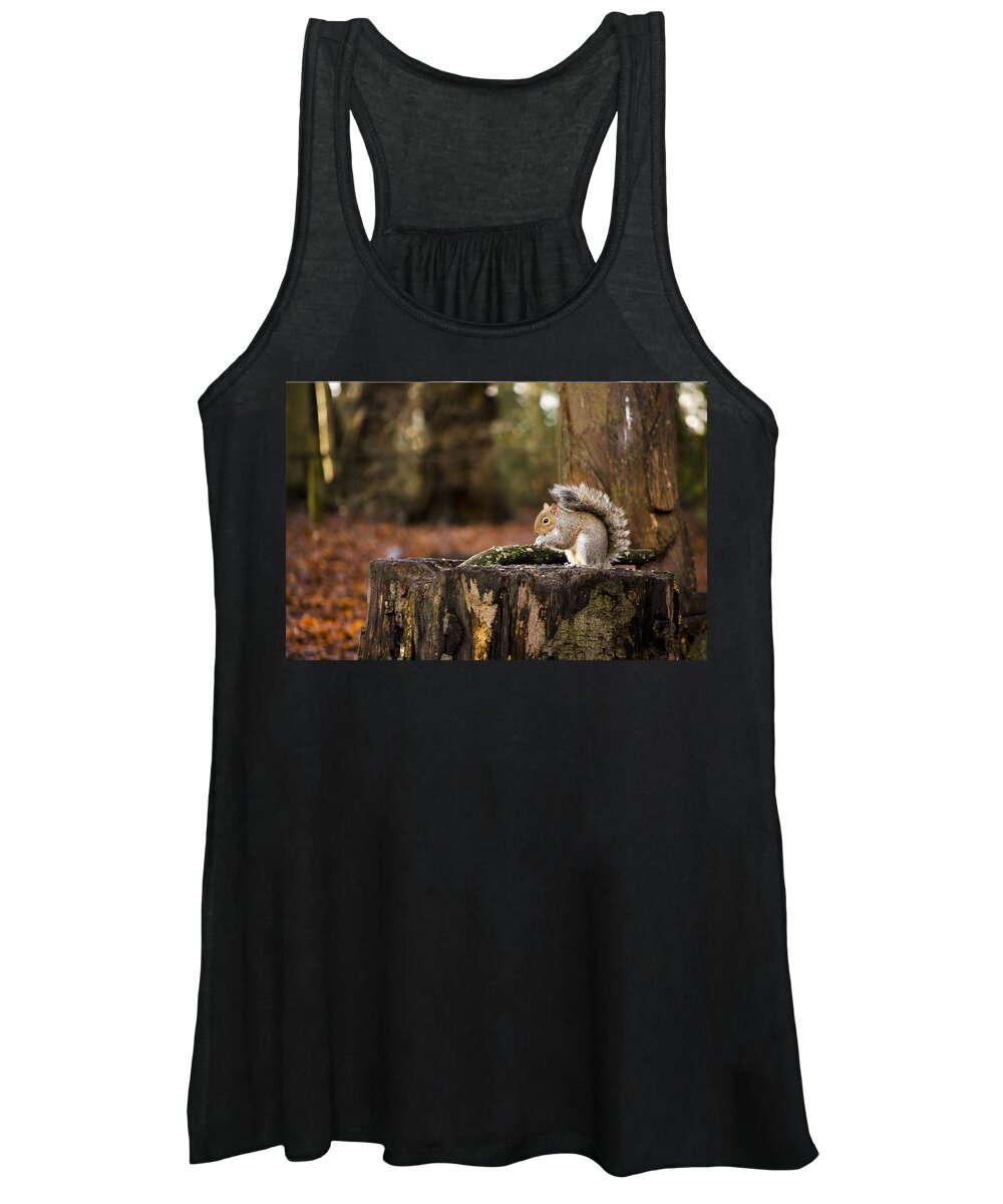 Squirrel Women's Tank Top featuring the photograph Grey Squirrel on a Stump by Spikey Mouse Photography