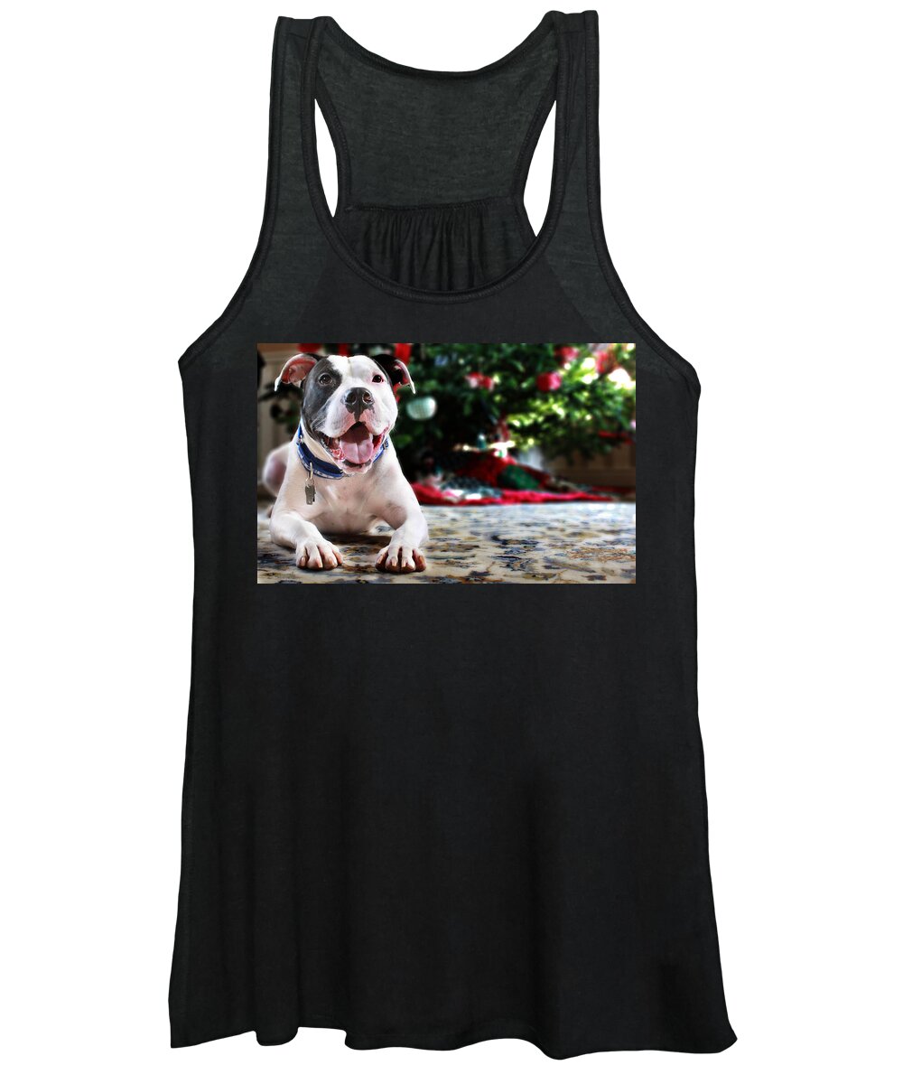 Dog Women's Tank Top featuring the photograph Holiday Joy by Shelley Neff