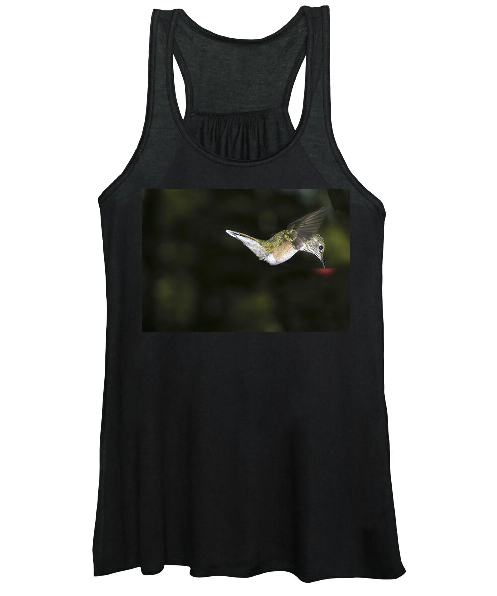 Hummingbird Women's Tank Top featuring the photograph Hovering Beauty by Ron White