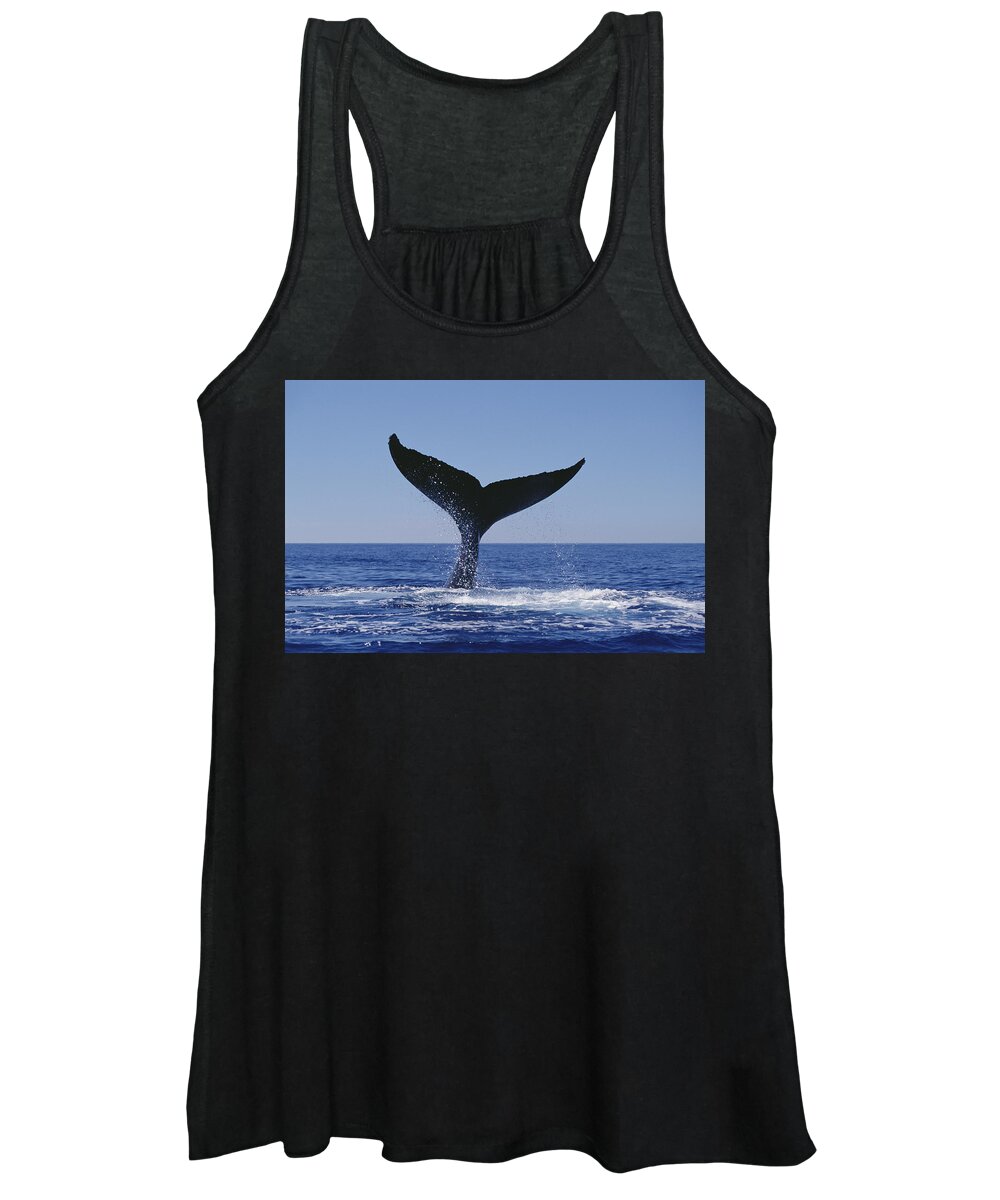 Feb0514 Women's Tank Top featuring the photograph Humpback Whale Tail Lobs Maui Hawaii by Flip Nicklin