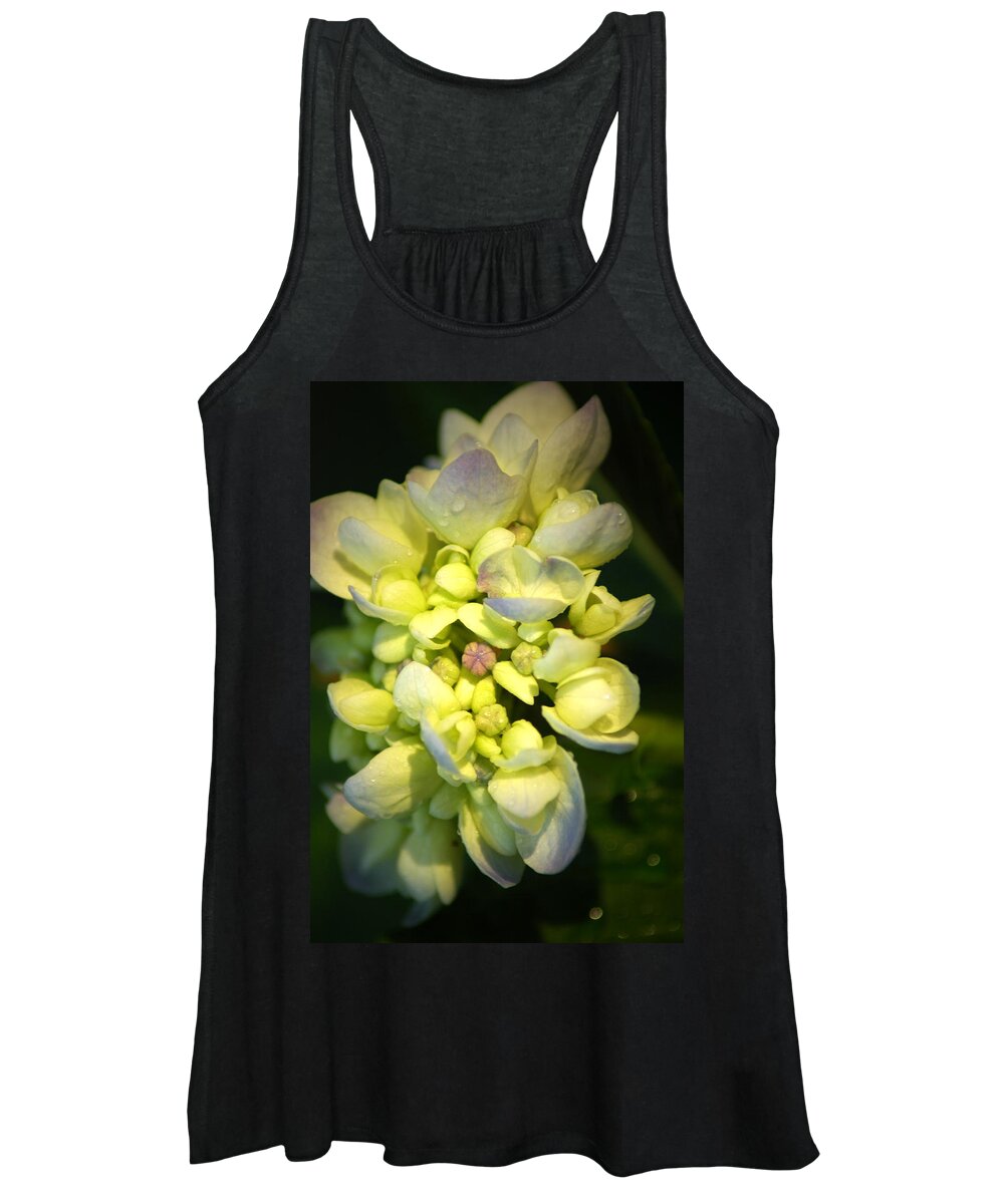 Flower Women's Tank Top featuring the photograph Hydrangea by David Weeks