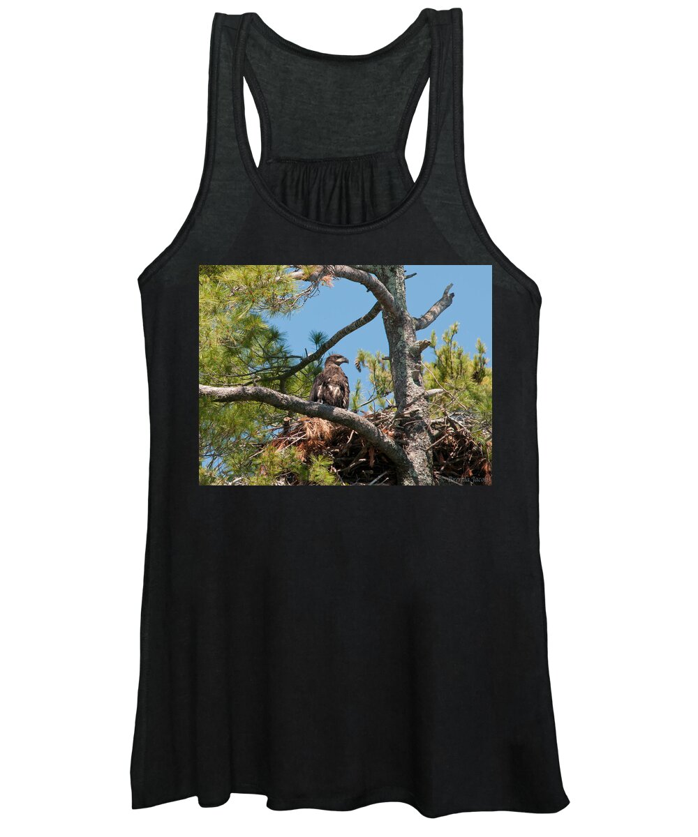 Bald Eagle Women's Tank Top featuring the photograph Immature Bald Eagle by Brenda Jacobs