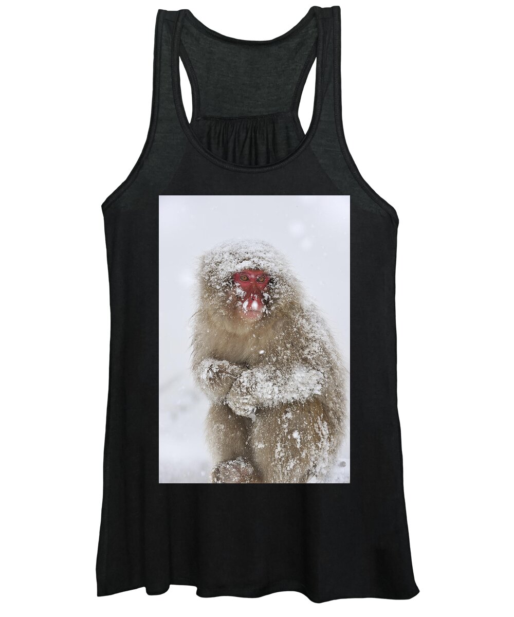Thomas Marent Women's Tank Top featuring the photograph Japanese Macaque In Winter Jigokudani by Thomas Marent
