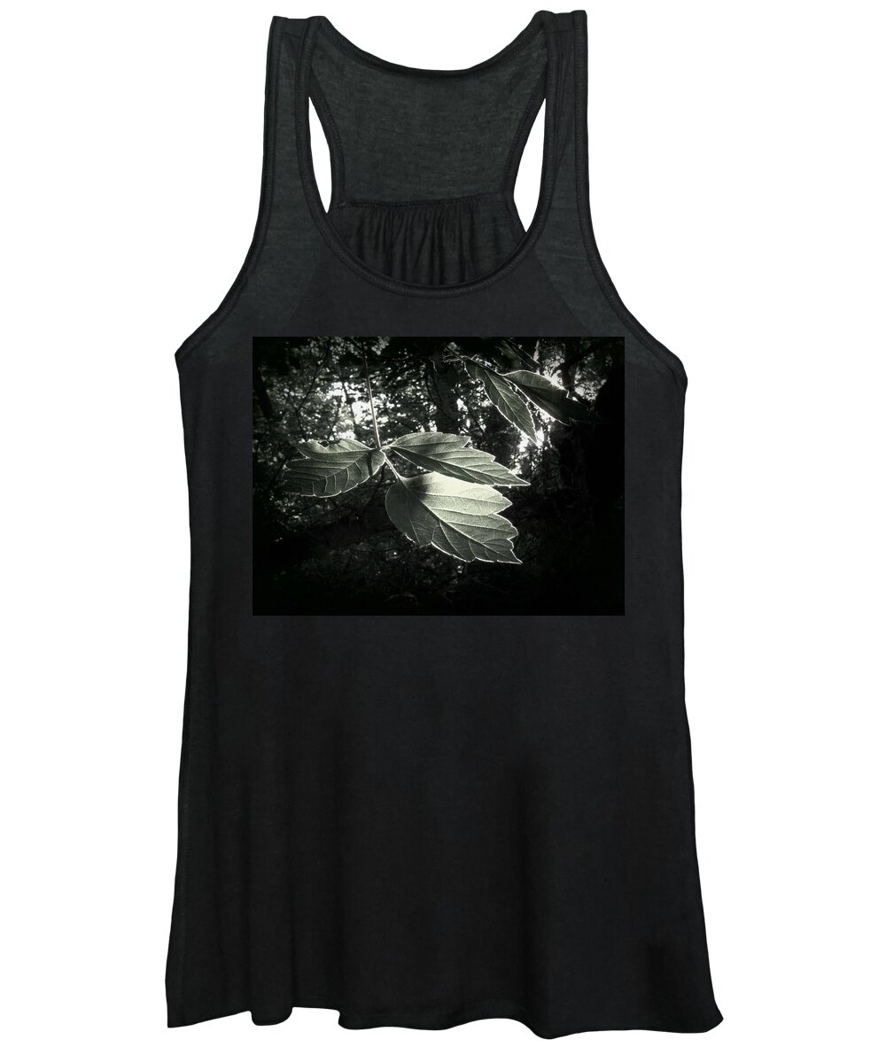Leaves Women's Tank Top featuring the photograph Last Rays II by Jessica Myscofski
