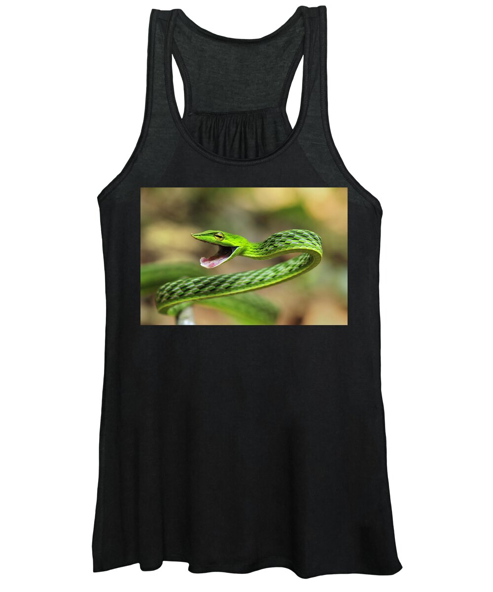 Thomas Marent Women's Tank Top featuring the photograph Longnose Whipsnake Agumbe Rainforest by Thomas Marent