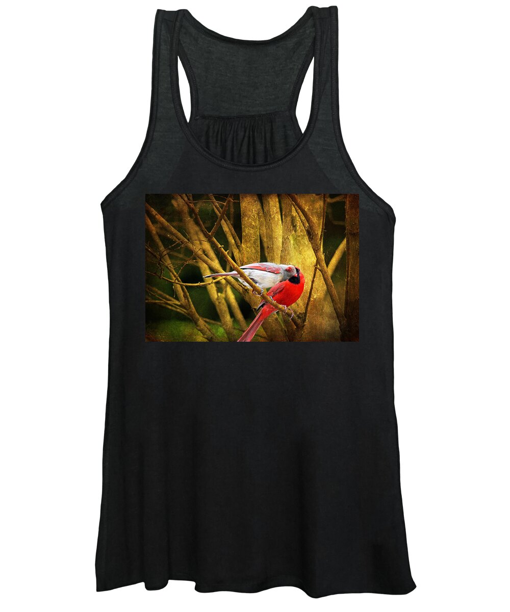Cardinals Women's Tank Top featuring the photograph Love In a Dark World by Trina Ansel