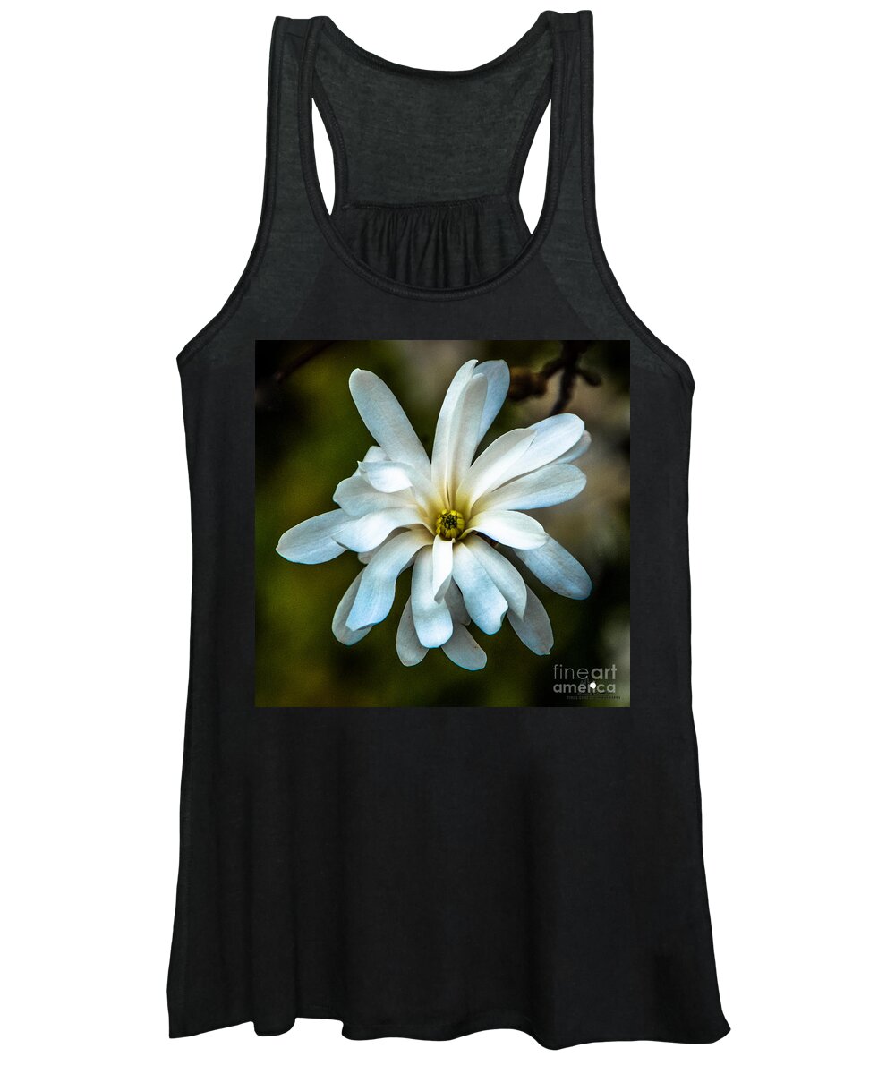 Magnolia Women's Tank Top featuring the photograph Magnolia Blossom by Grace Grogan