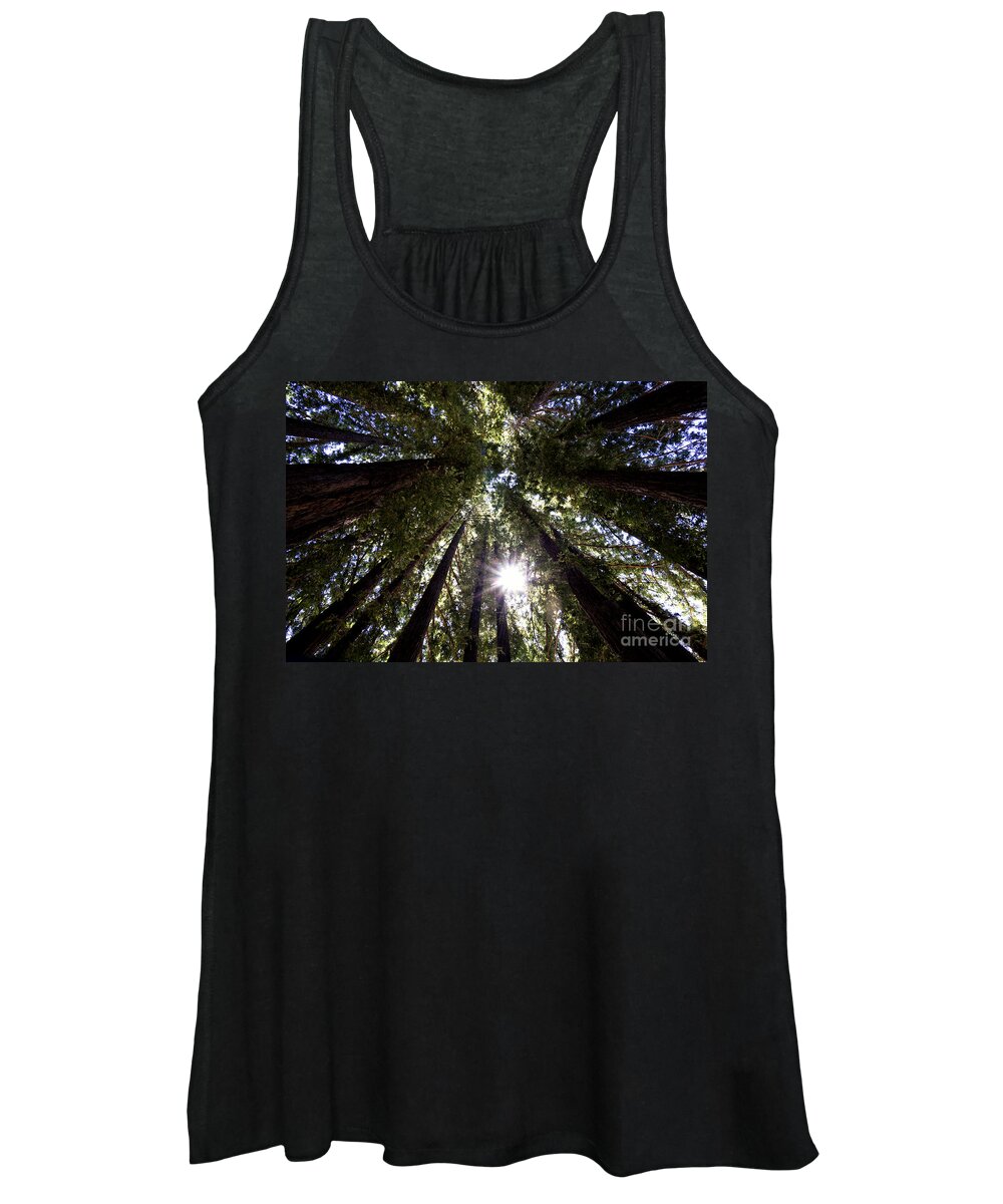 Redwood Women's Tank Top featuring the photograph Majestic Redwoods by Betty Depee