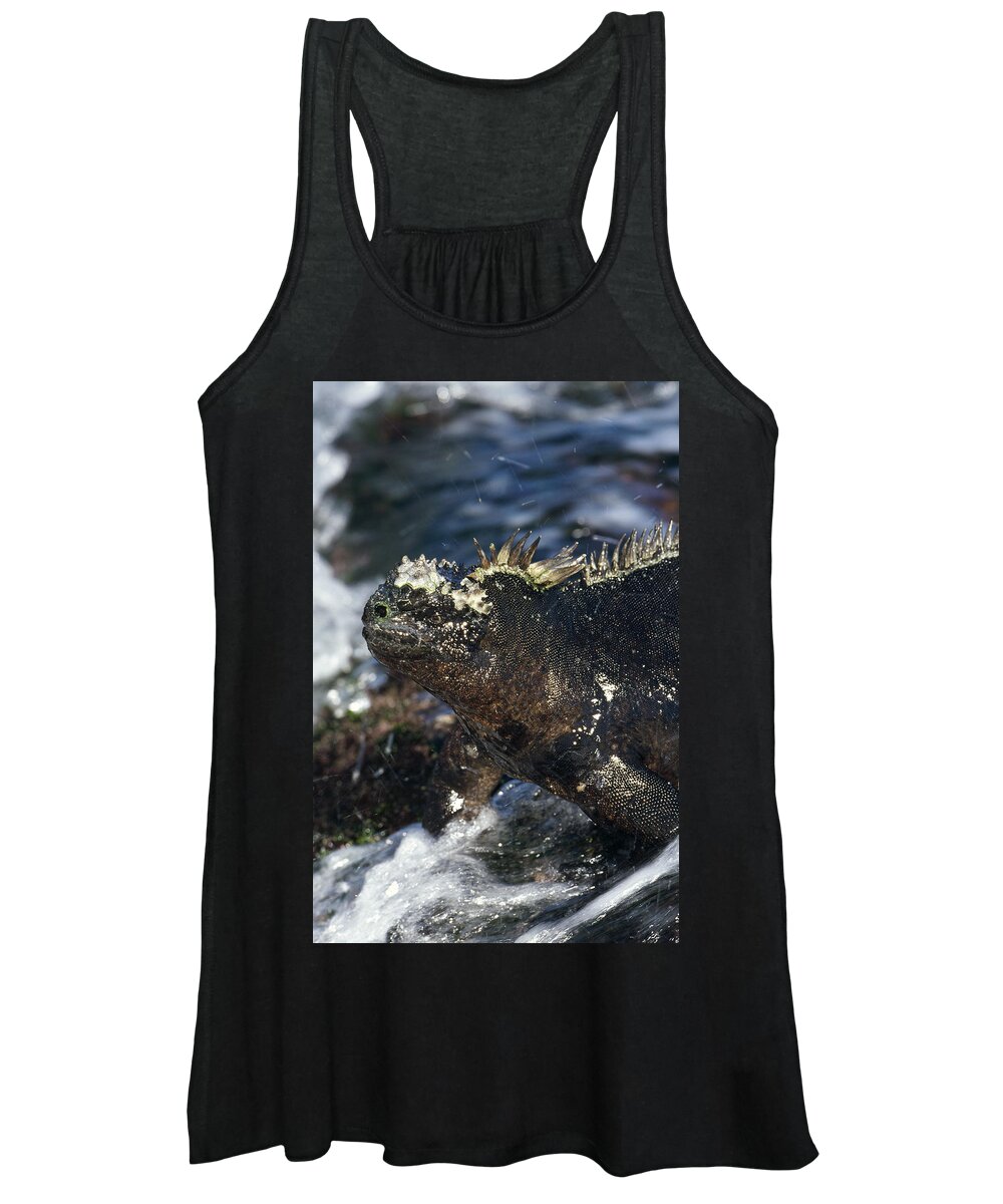 Feb0514 Women's Tank Top featuring the photograph Marine Iguana At Low Tide Galapagos by Tui De Roy