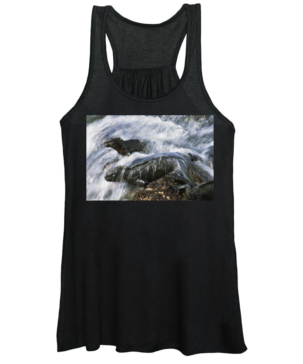 Feb0514 Women's Tank Top featuring the photograph Marine Iguana Pair In Surf Galapagos by Tui De Roy