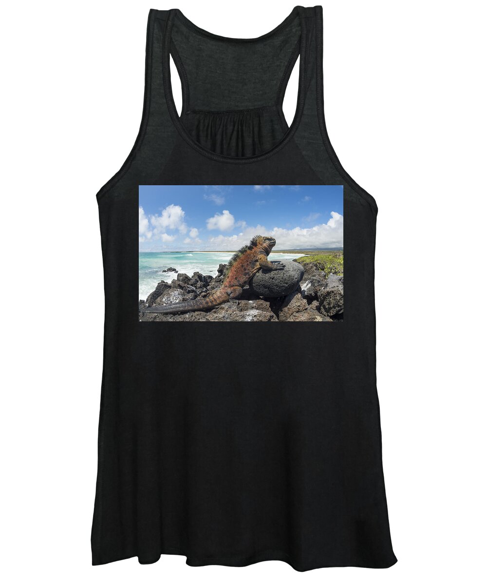 534130 Women's Tank Top featuring the photograph Marine Iguana Tortuga Bay Galapagos by Tui De Roy