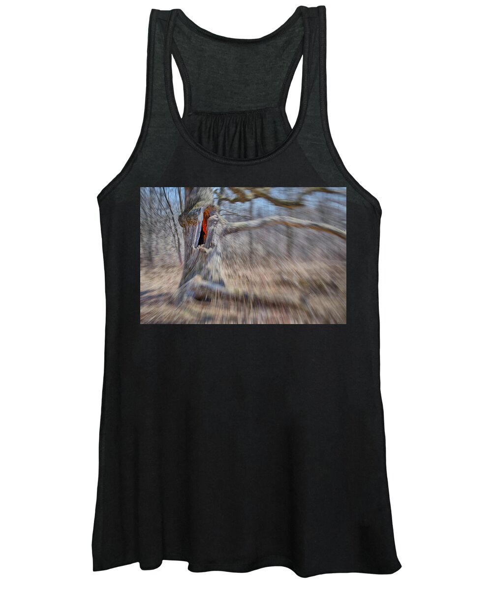 Grant Woods Women's Tank Top featuring the photograph No Escape by Jim Shackett