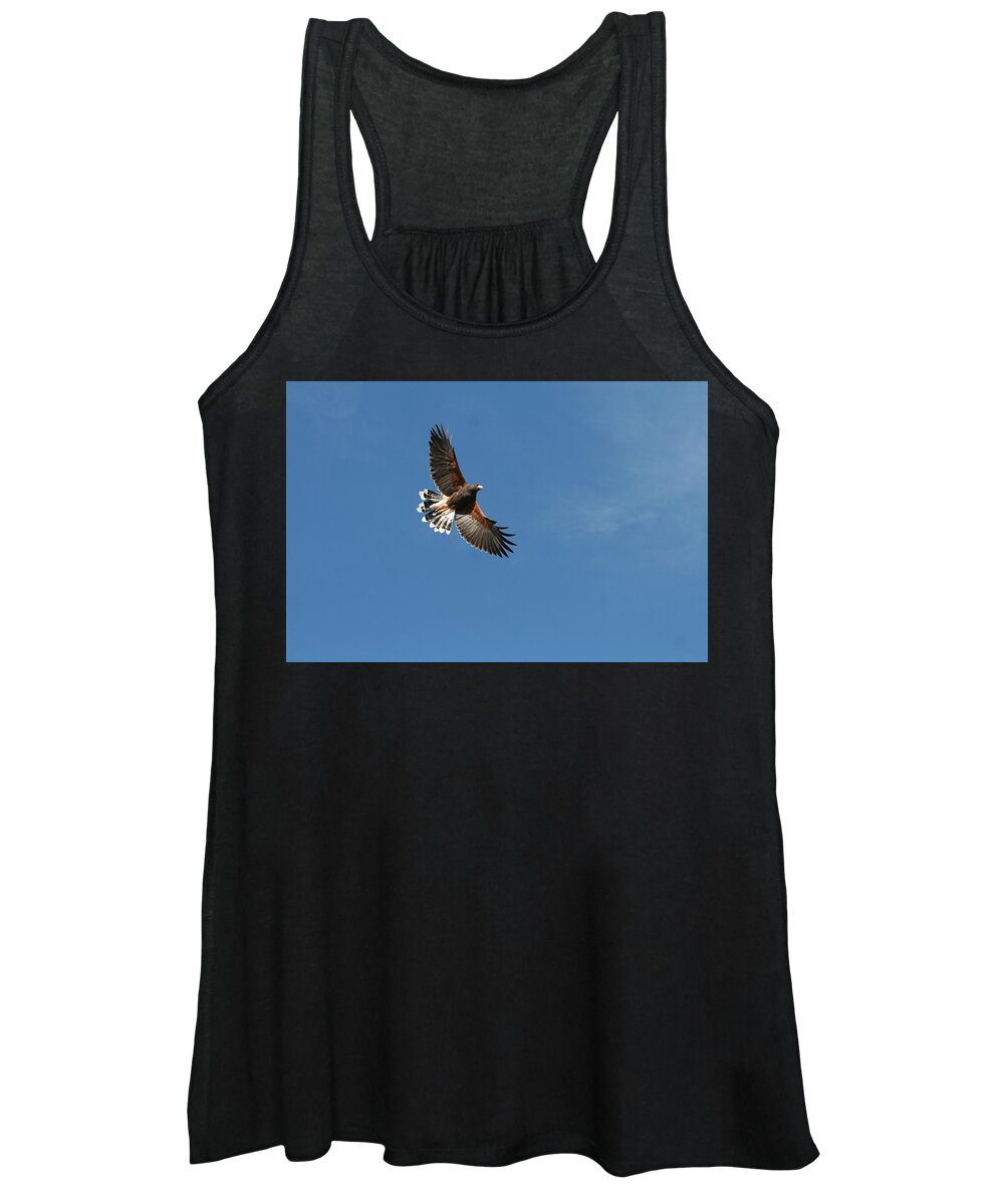 Harris Hawk Women's Tank Top featuring the photograph On the wing by David S Reynolds