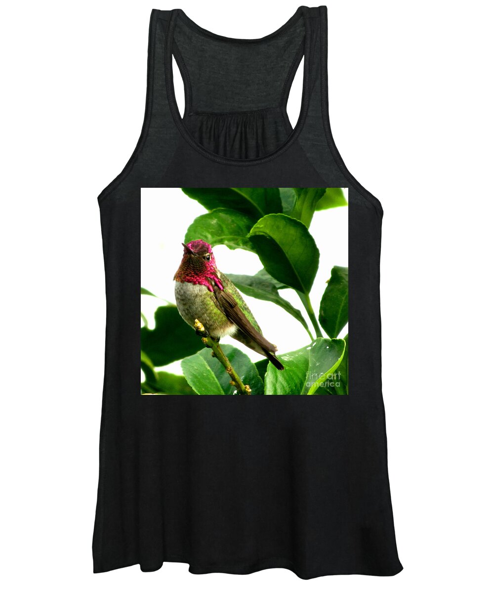 Hummingbird Women's Tank Top featuring the photograph Orchard Friend by Marilyn Smith