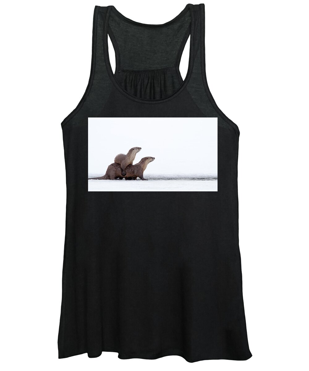 Otter Women's Tank Top featuring the photograph Otter Stepladder by Max Waugh