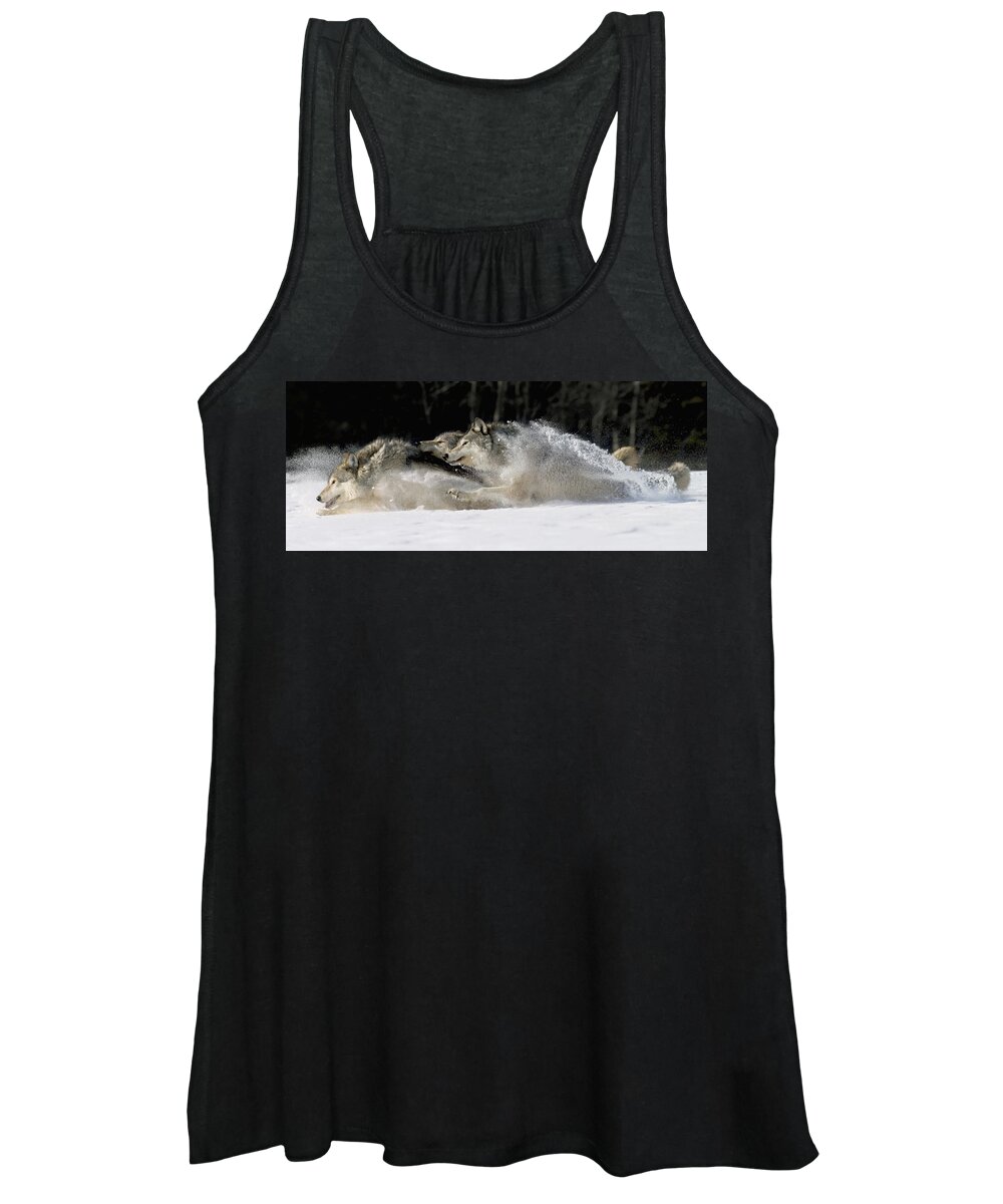 Hyde Women's Tank Top featuring the photograph Pack Of Grey Wolves Running Through by John Hyde