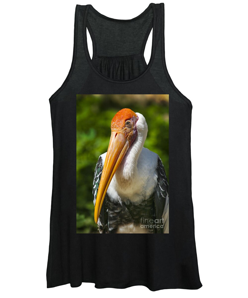 Animals Women's Tank Top featuring the photograph Painted Stork by Timothy Hacker