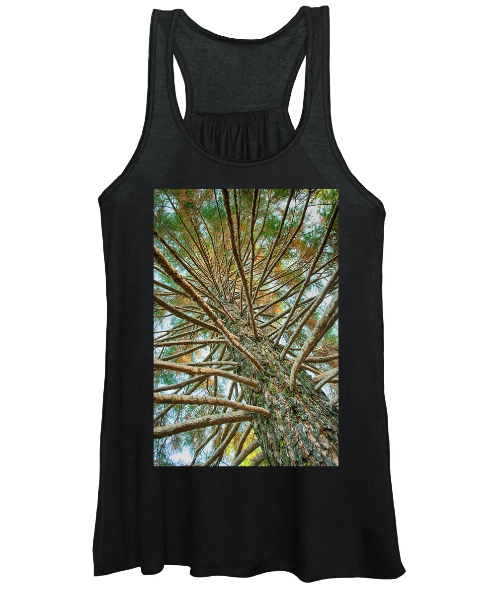 Nature Women's Tank Top featuring the photograph Pine Tree by Lisa Chorny