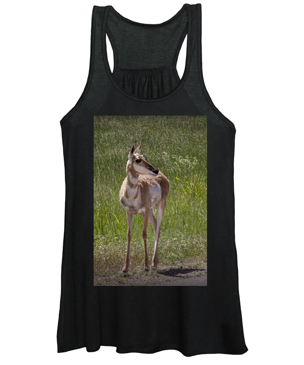 Antelope Women's Tank Top featuring the photograph Portrait of a Young Pronghorn Antelope No. 0460 by Randall Nyhof