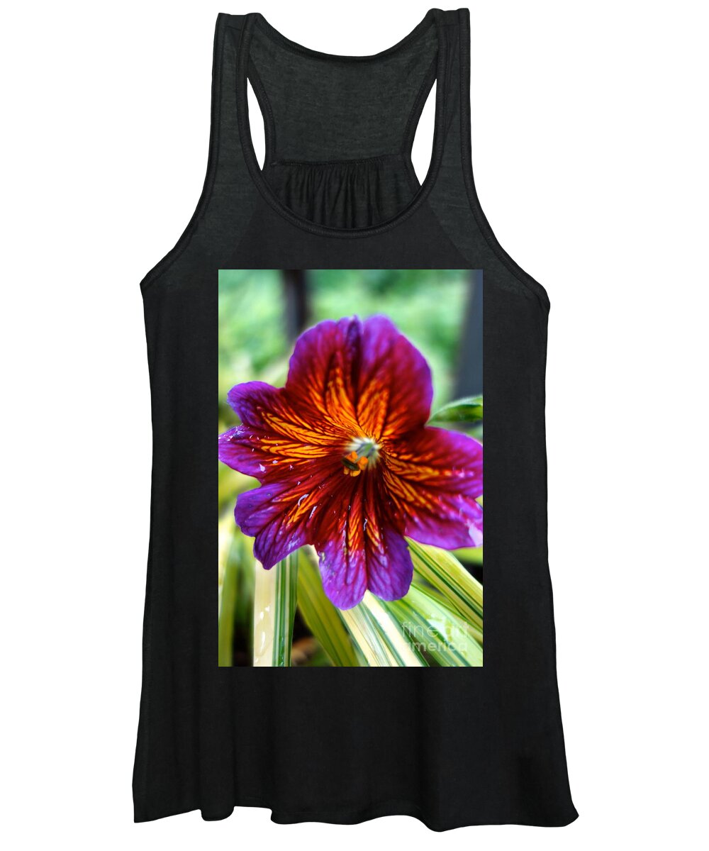 Petals Women's Tank Top featuring the photograph Purple and Orange by Jacqueline Athmann