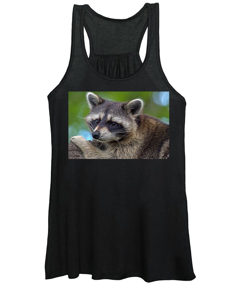 Raccoon Women's Tank Top featuring the photograph Raccoon by Jerry Gammon